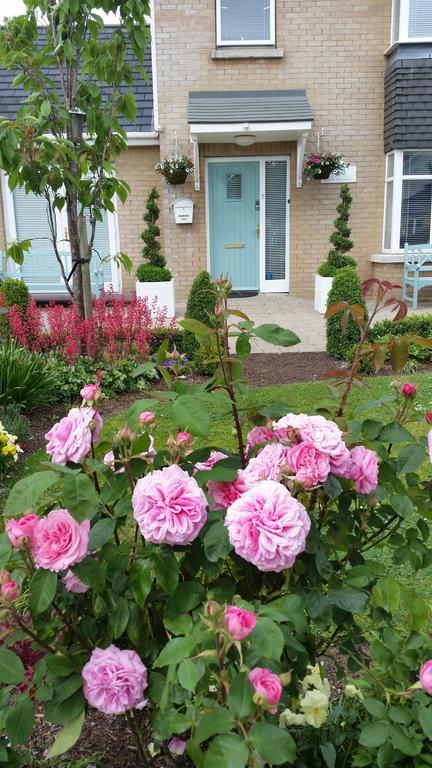 No.5 Bed & Breakfast Kilcullen Екстер'єр фото